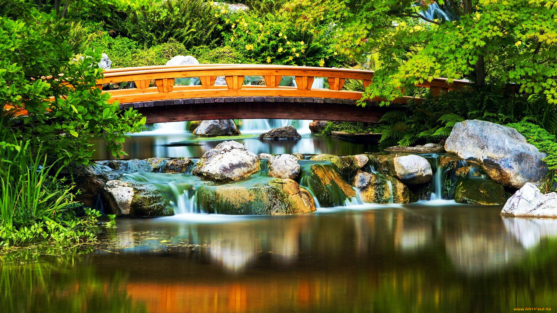 japanese garden, vienna, austria, , , japanese, garden